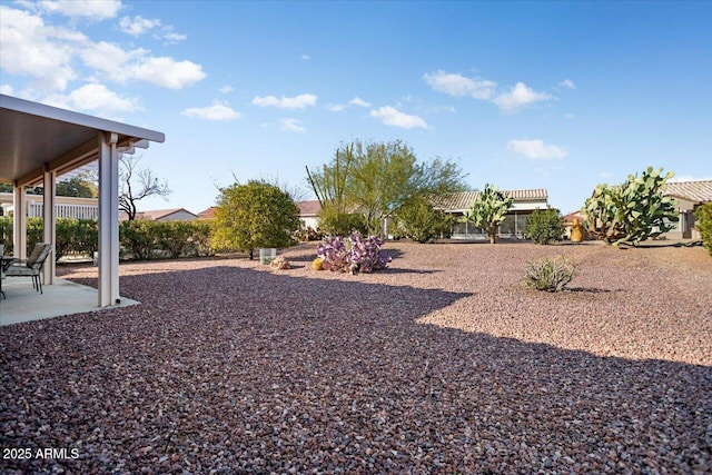 view of yard featuring a patio