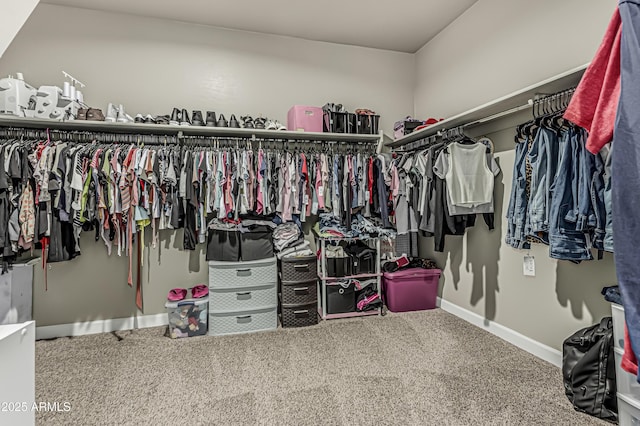 walk in closet featuring carpet floors