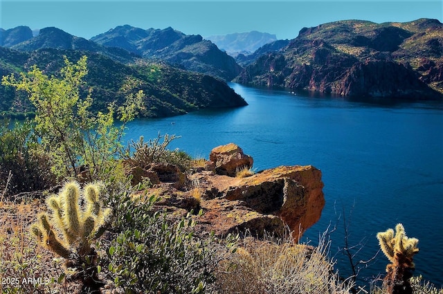 water view featuring a mountain view