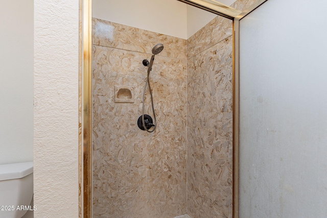 interior details with tiled shower and toilet