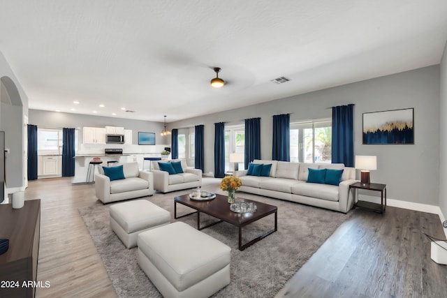 living room featuring light hardwood / wood-style flooring