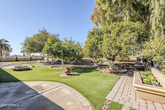 view of yard with a patio