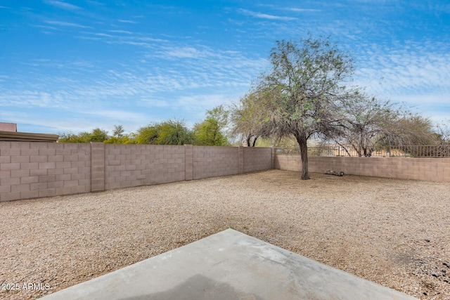 view of yard with a patio area and a fenced backyard