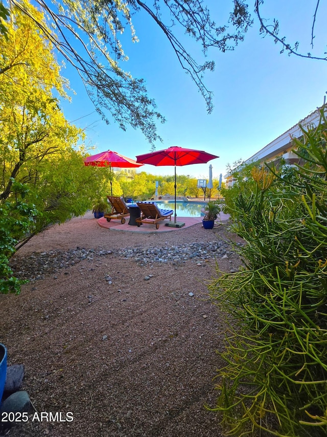 view of yard featuring an outdoor pool and a patio area