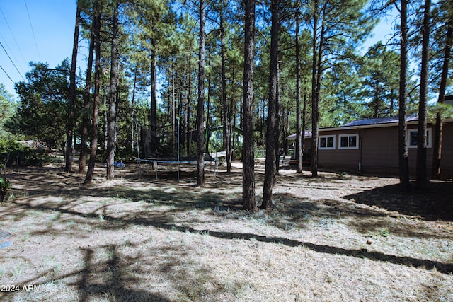 view of yard with a trampoline