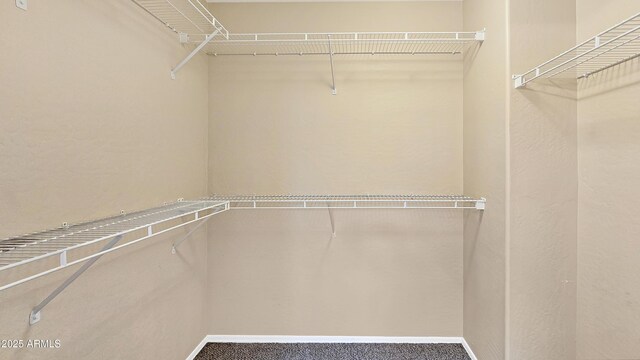 1909 N 106th Ave, Avondale, AZ 85392 - view of walk in closet