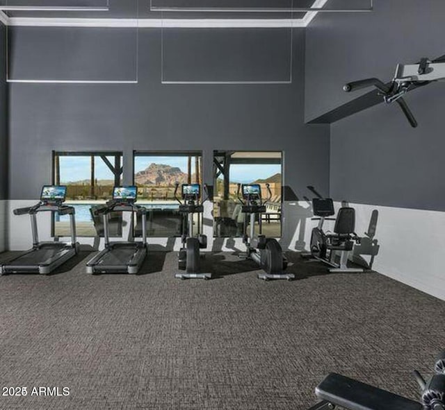 3915 N Shannon Cir, Mesa, AZ 85215 - exercise room featuring a towering ceiling and carpet floors