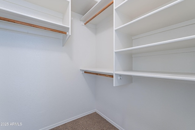 spacious closet featuring carpet floors