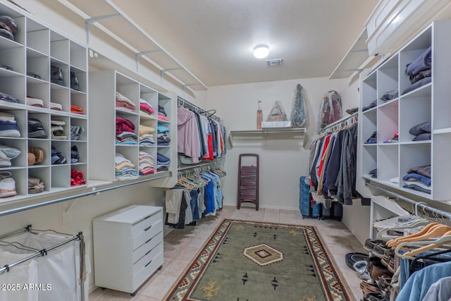 view of walk in closet