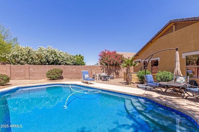 view of pool featuring a patio area and a fenced backyard