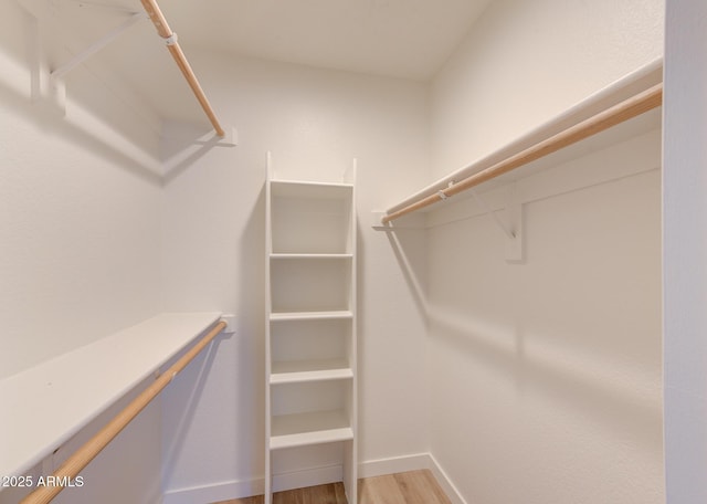 walk in closet with light wood-type flooring