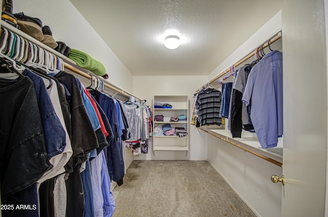 walk in closet with light colored carpet