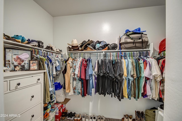 view of walk in closet