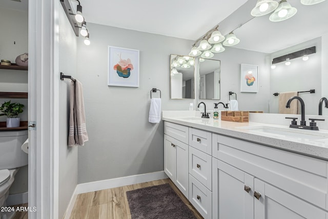 bathroom featuring vanity, toilet, and wood-type flooring