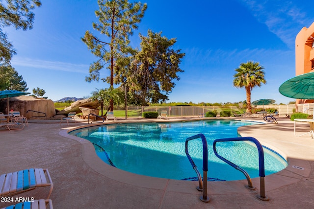 view of pool featuring a patio