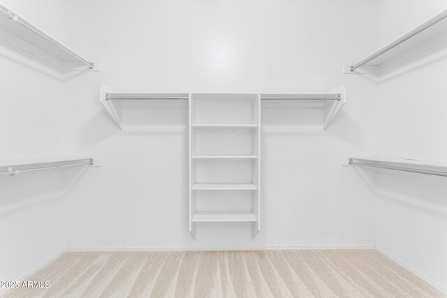 walk in closet with light colored carpet