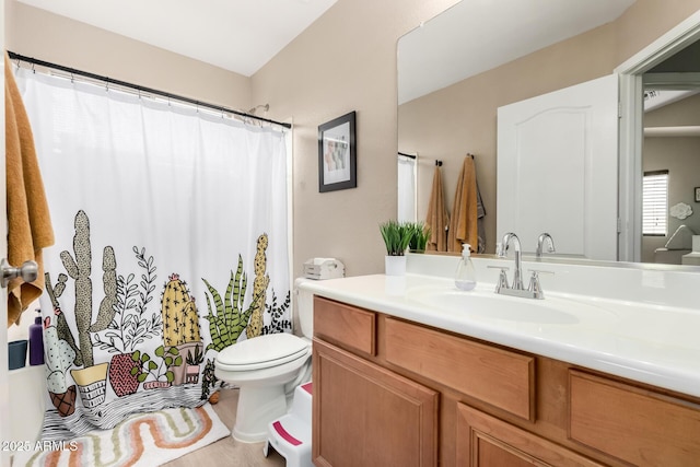 bathroom with vanity, wood-type flooring, and toilet