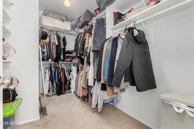 spacious closet with light carpet