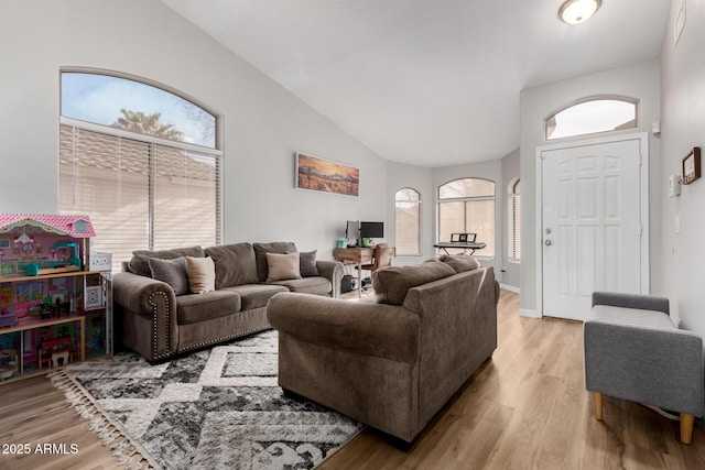 living room featuring a healthy amount of sunlight, lofted ceiling, and light wood-type flooring