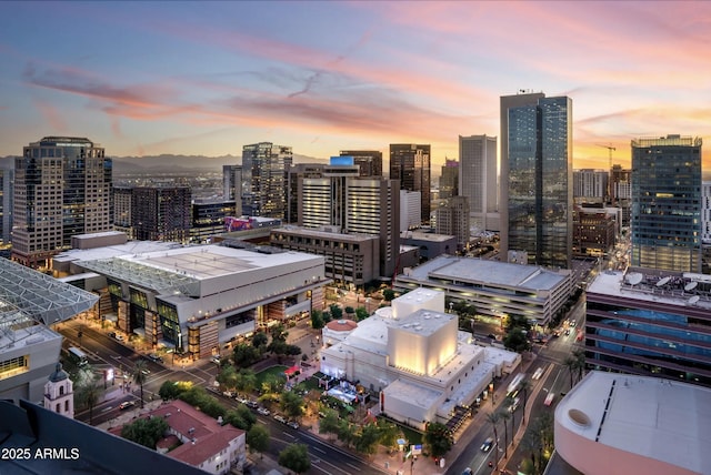 1338 E Granada Rd, Phoenix, AZ 85006 - view of city skyline