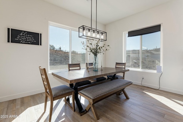 dining room with light hardwood / wood-style flooring