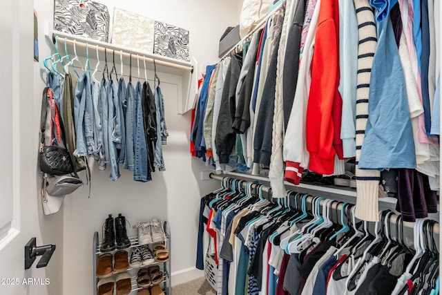 spacious closet featuring carpet flooring