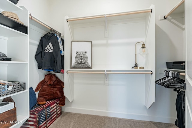 spacious closet with carpet floors