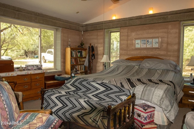 bedroom with vaulted ceiling