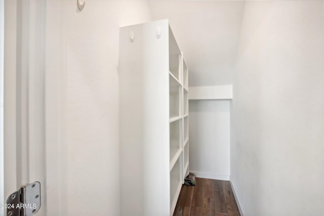 spacious closet featuring lofted ceiling and dark hardwood / wood-style floors