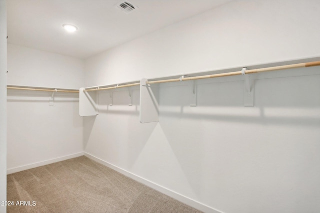 spacious closet with carpet