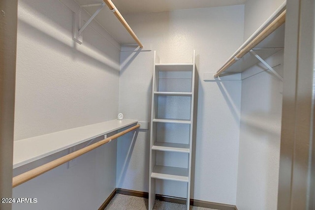 walk in closet with carpet floors