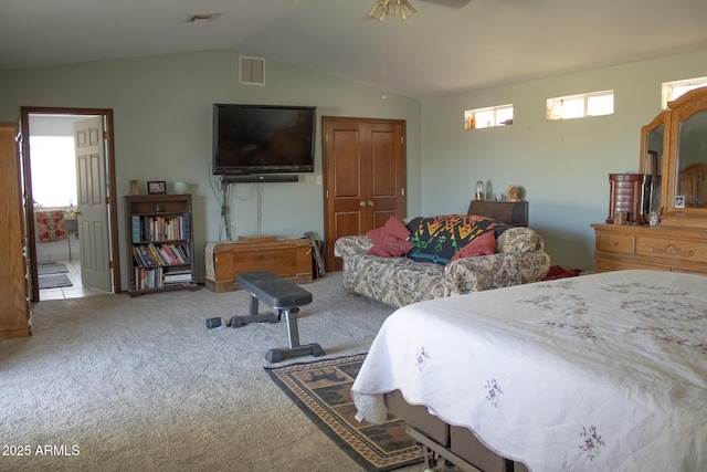 375 S Companero Rd, Saint David, AZ 85630 - carpeted bedroom with lofted ceiling