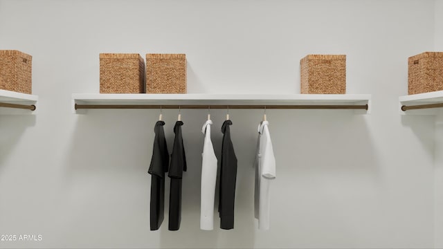 view of walk in closet