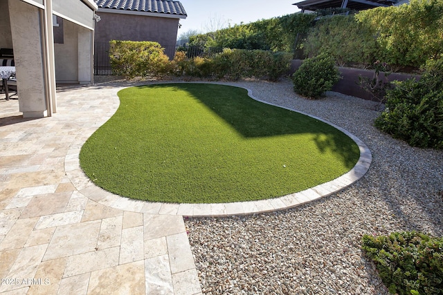 view of yard with a patio area