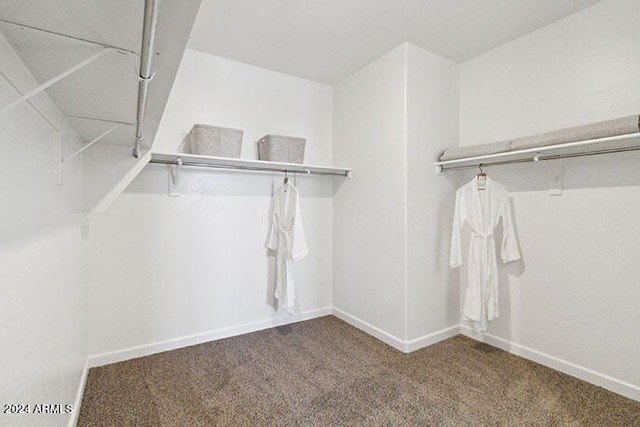 spacious closet featuring carpet flooring