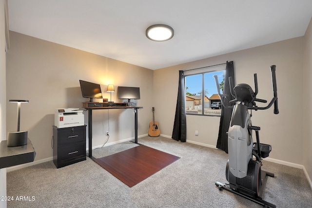 exercise room featuring light colored carpet