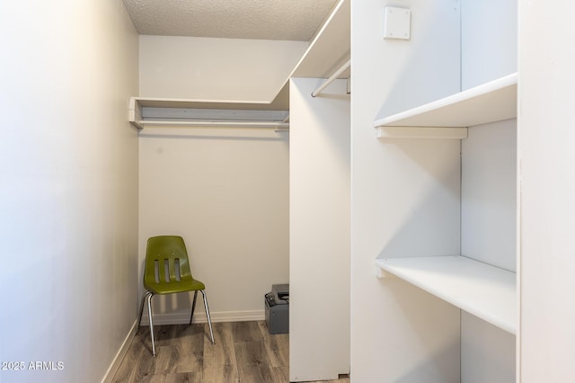 spacious closet featuring wood finished floors