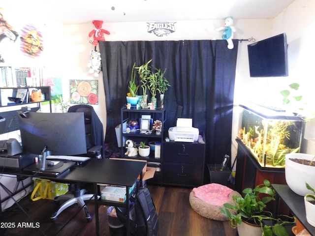 office area featuring dark hardwood / wood-style flooring