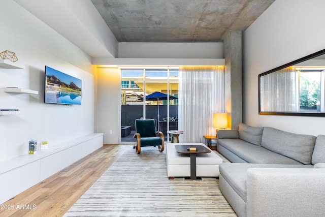 living room with light hardwood / wood-style floors