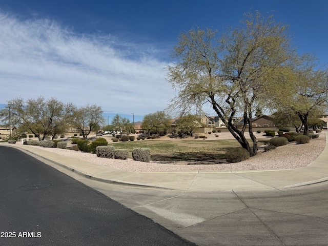 view of street featuring curbs and sidewalks