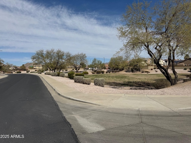 view of road featuring curbs and sidewalks