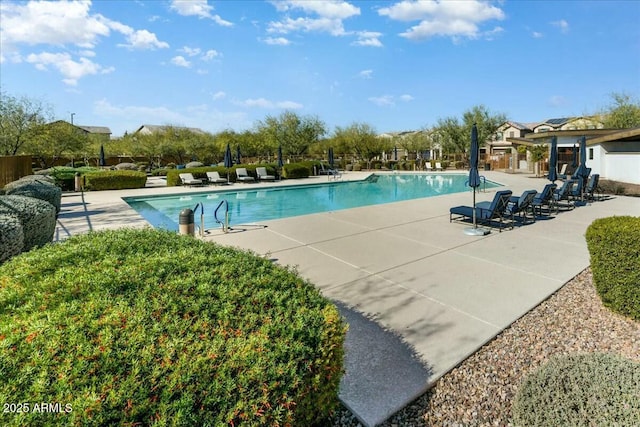 view of pool featuring a patio