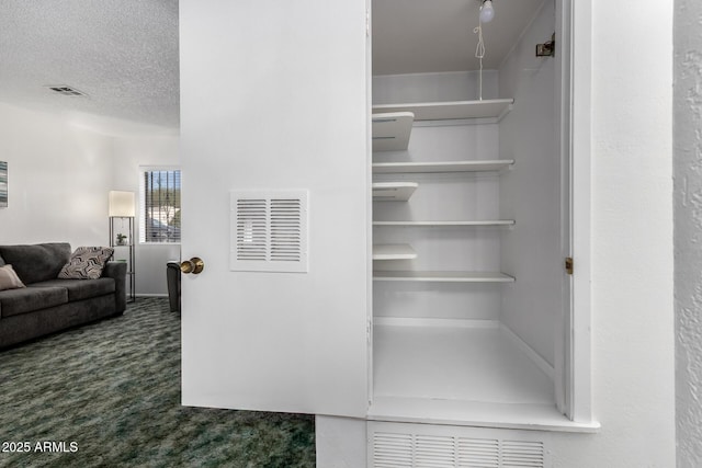 closet featuring visible vents