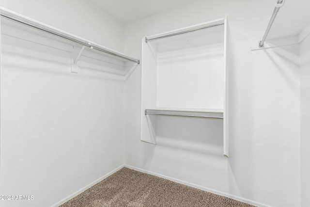 walk in closet with carpet flooring