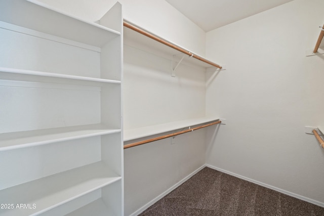 spacious closet with carpet