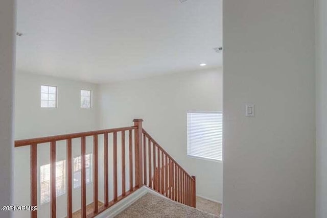 staircase featuring carpet flooring