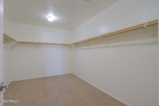 spacious closet with carpet