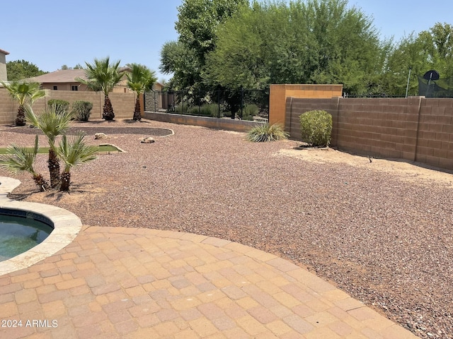 view of yard featuring a patio area