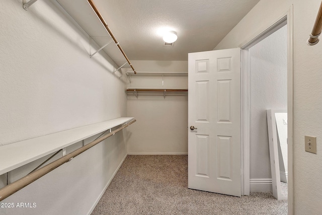 walk in closet featuring light colored carpet