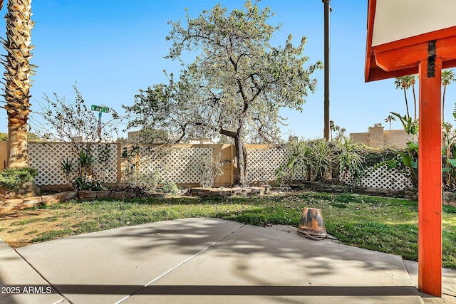 view of yard with a patio